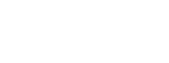 +233C
